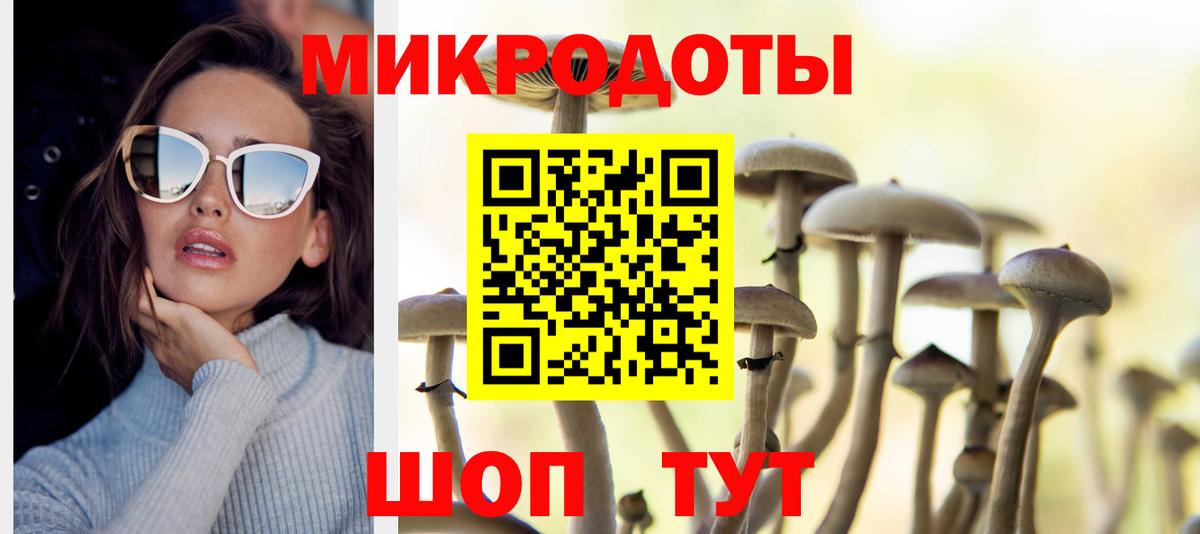 купить наркотик  Псилоцибиновые грибы GOLDEN TEACHER  Вход с VPN  Лабытнанги 